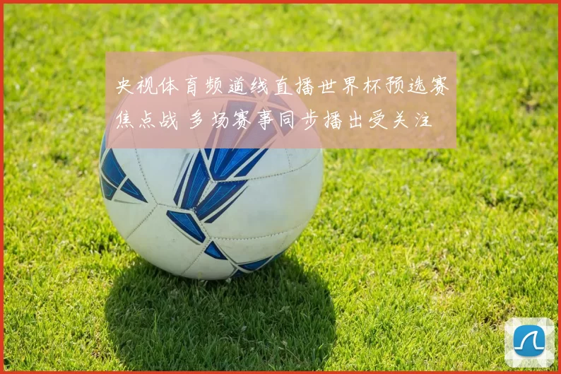 央视体育频道线直播世界杯预选赛焦点战 多场赛事同步播出受关注