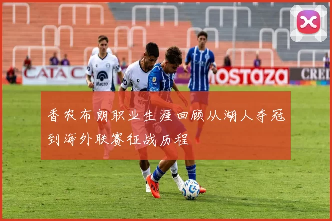 香农布朗职业生涯回顾从湖人夺冠到海外联赛征战历程